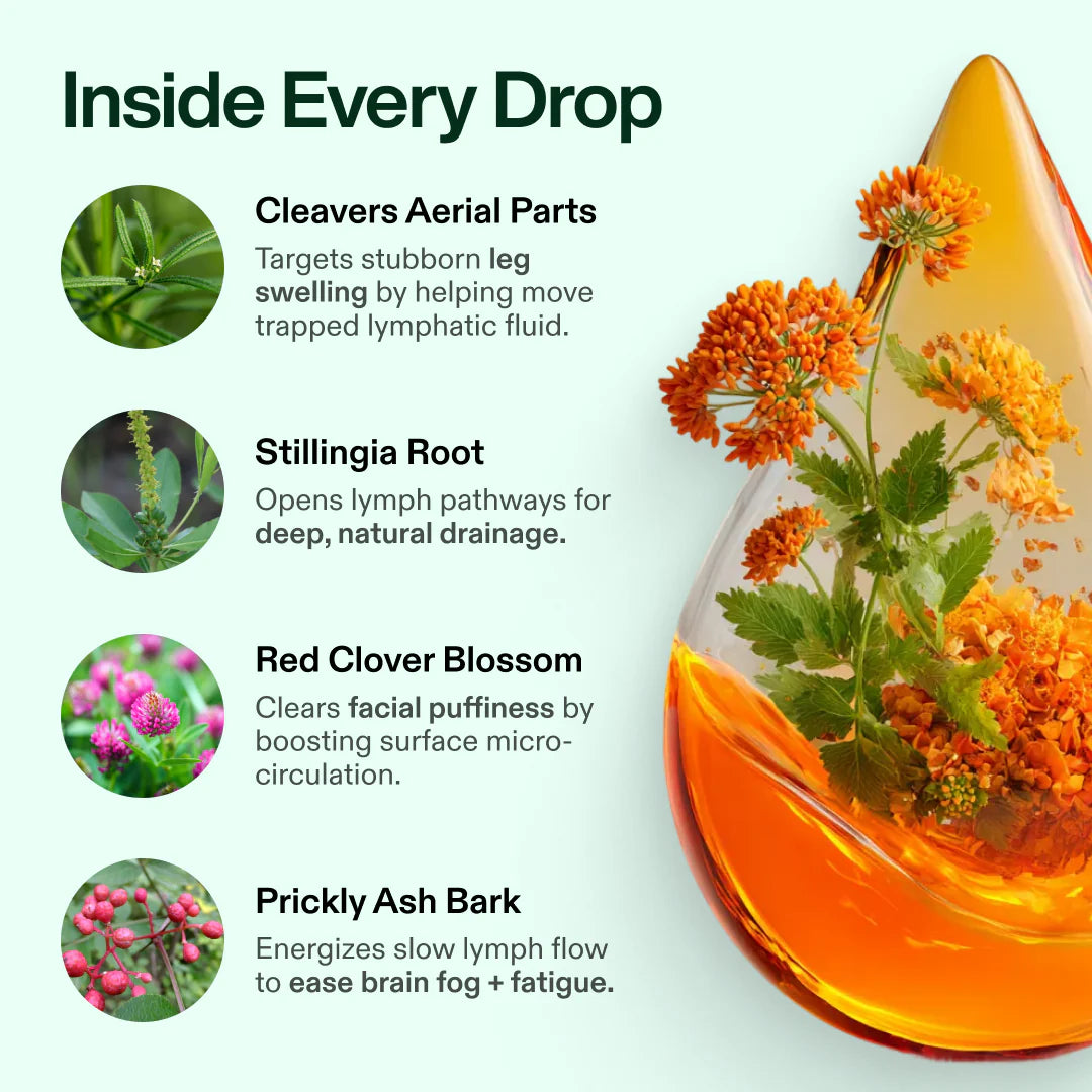 Lymphina Wellness Drops